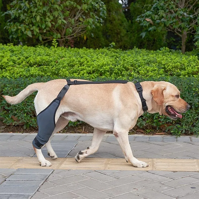 

Pet Protective Gear Dog Leg Protector After Leg Injury Pet Joint Knee Pads Dislocation Support Frame Pet Products Accessories