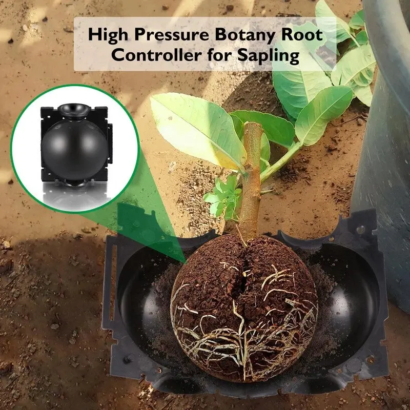 5/30PCS Plant Rooting Ball Grafting Rooting Box Breeding Case High Pressure Plant Root Growing Box For Garden Planting Supplies