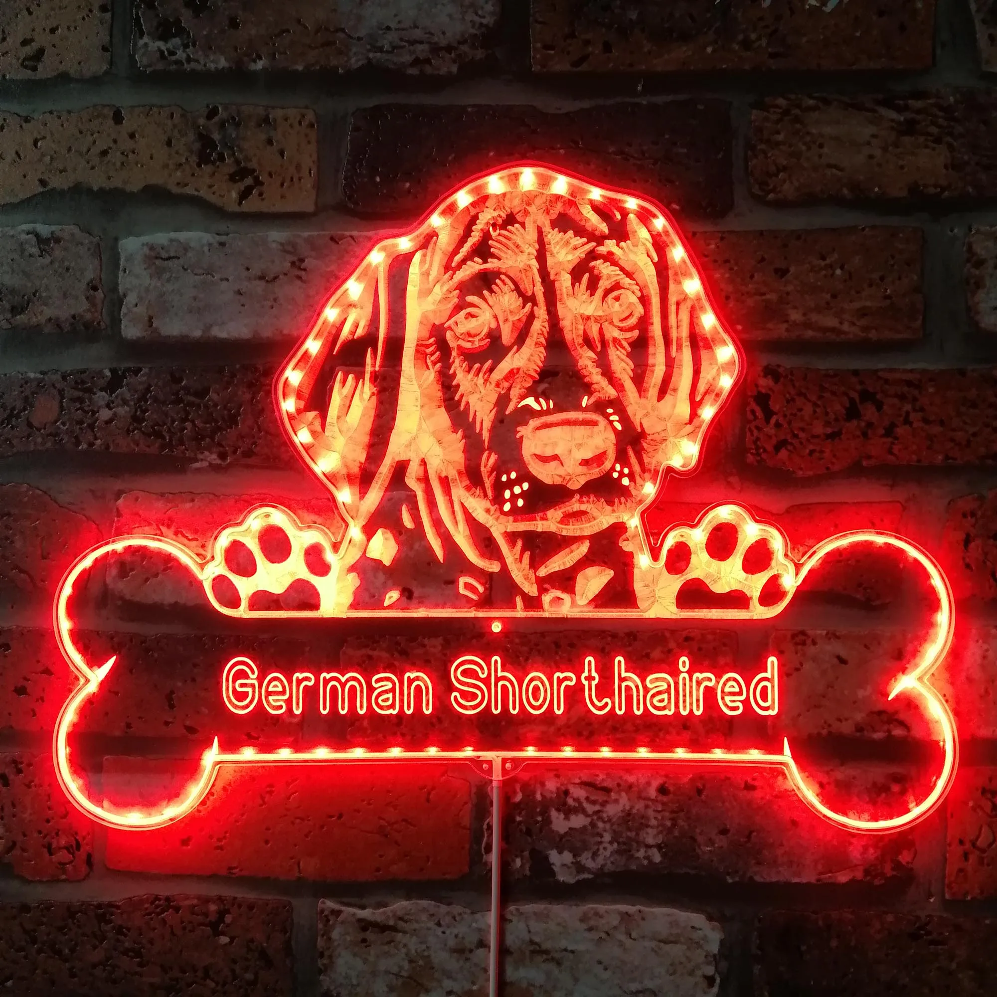

Name Personalize German Shorthaired Glam Led Neon Sign st06-fnd-p0072-tm