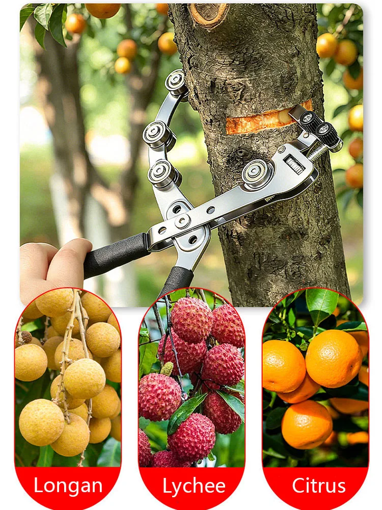 Double Pulley Fruit Tree Ring Peeling Pliers Girdling Knife for Jujube Citrus Apple Grape Bark Peeling Grafting Pruning Tool