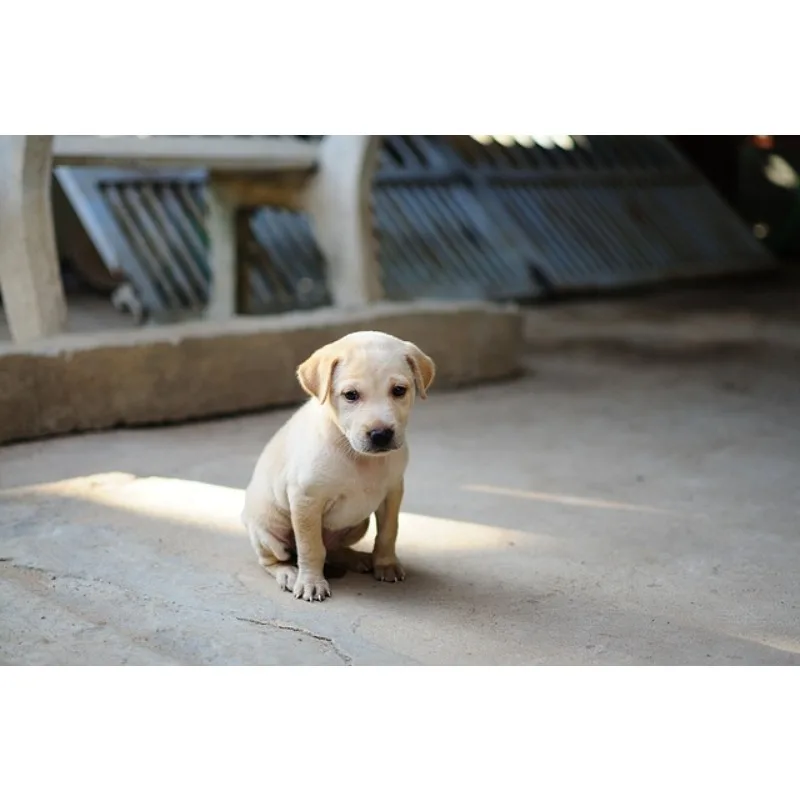 

1PCS 37mm 25T Metal Extension Steering Servo Arm Horn for RC Car Crawler Parts