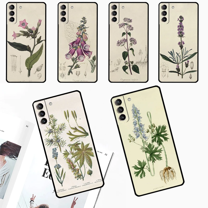 Botanical Drawings Flowers Plants Case For Samsung Galaxy S24 Ultra S23 S22 S21 S20 Plus Note 10 Note 20 S9 S10 S21 FE Cover