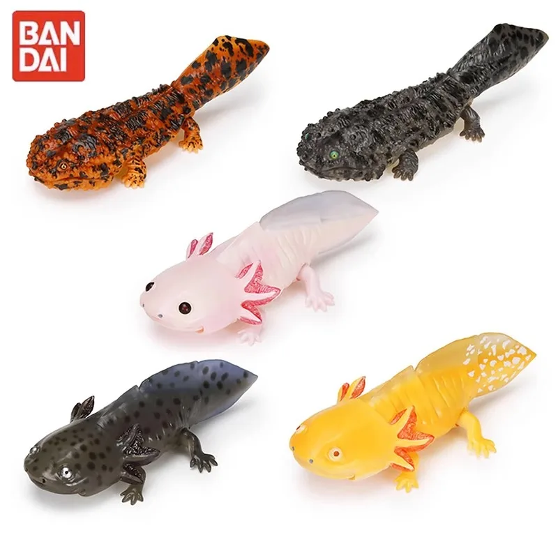 BANDAI Ambystoma Mexicanum Biology Illustrated Guide Cynops Chinese Giant Salamander Gashapon Active Joint Figure Model Toys