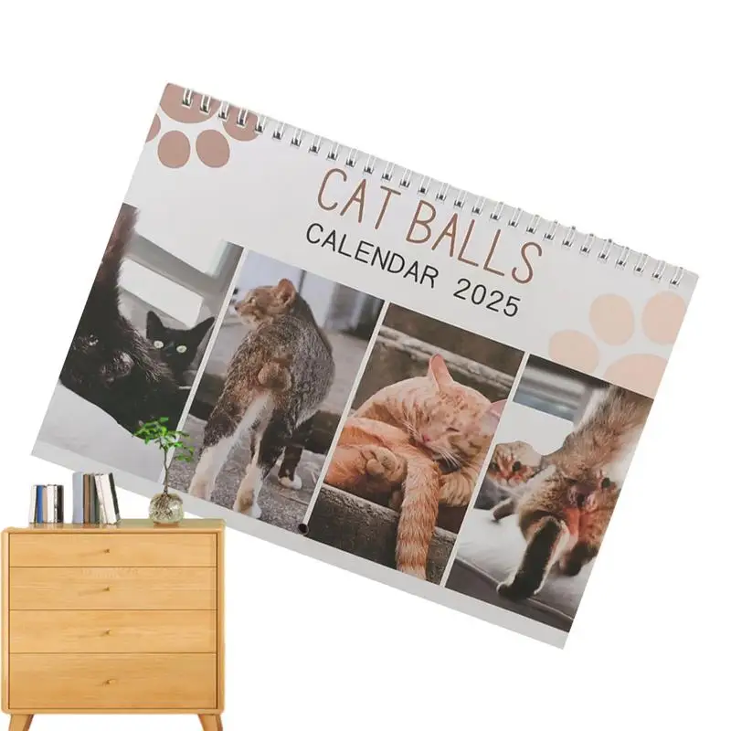 2025 Cat Pattern Month Organizer Family Month To View Calendar 2025 Cat Balls Organizing Calendar With Notes Space For Home