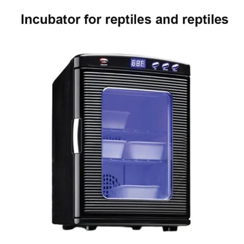 Small Turtle Egg Automatic Incubator Reptile Lizard Snake Egg Chameleon Small Refrigerator Constant Temperature Fermentation Box