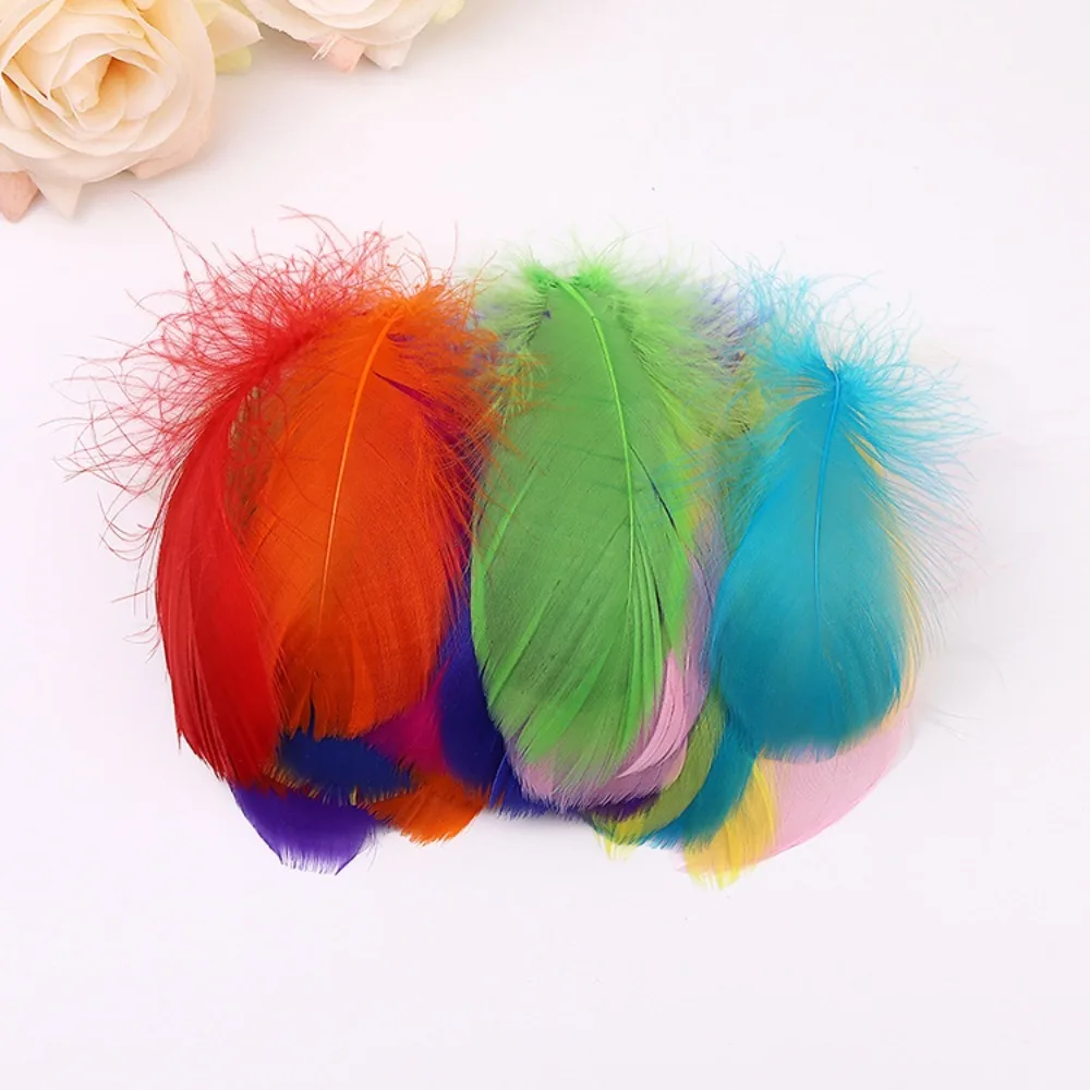 100pcs Natural Goose Feathers Headdress Floating Small Swan Feather Plume 7-12cm Colourful Dream Catcher Feathers for DIY Craft