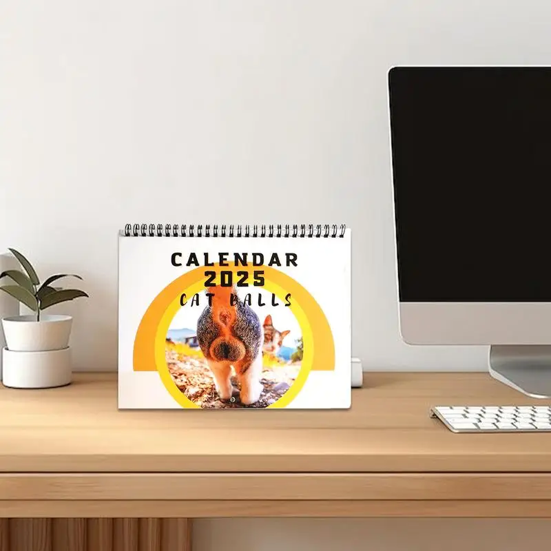 Funny Calendar Fun Cat Balls Monthly Planner Home Decoration Hangable Schedule Planner Vertical Square Calendar 2025 For Kids