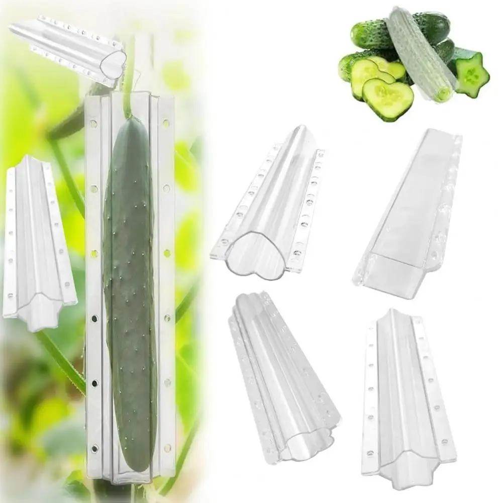 20cm Cucumber Shaping Mold Transparent Plastic Garden Vegetable Growing Molds Vegetable Cultivation For Cucumber Tomato Carrot