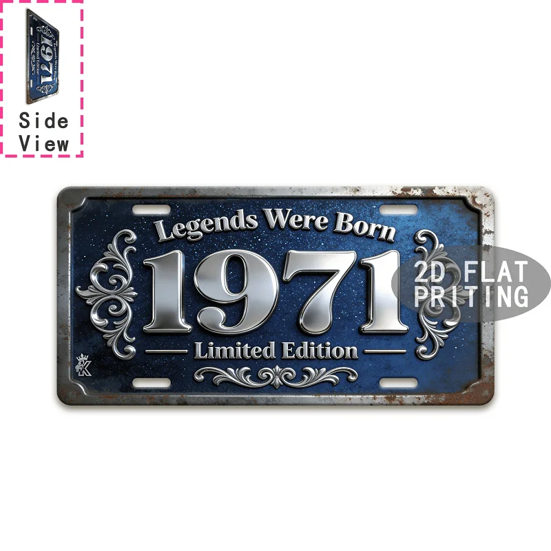 2D Flat - 2D Plane, a Limited Edition Retro Legend Born in 1971 | 2D Printed Sign, Reusable, Perfect for Wall Decoration, Birt