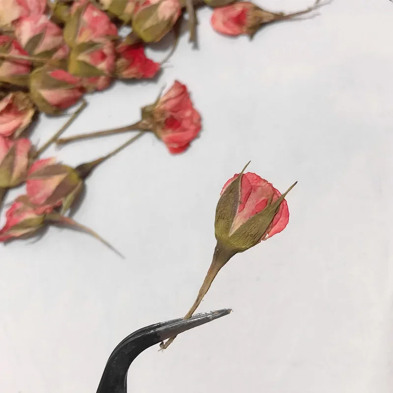 12pcs/3-5cm,Side Pressed Pink Yellow Red Mini Rose,Dried Flower DIY Glue Dripping Phone Case Photo Frame Bookmark Card Material