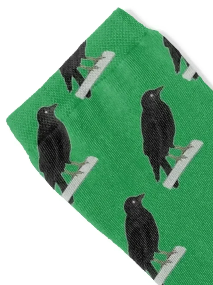 Little raven bird, or crow, or jackdaw Socks Men's Wholesale tennis Men's Socks Women's