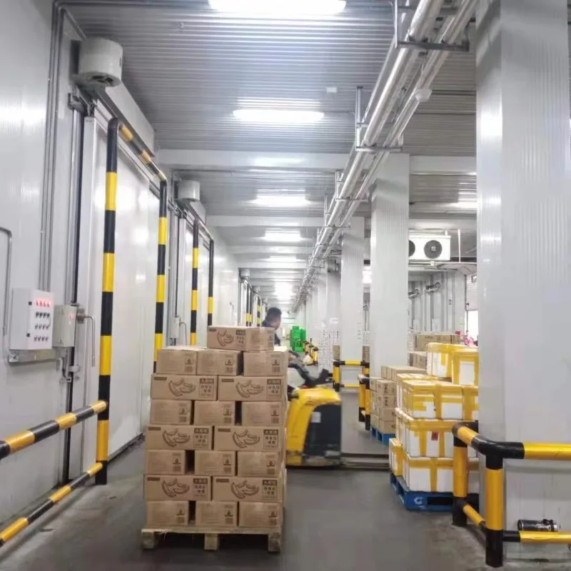 تخصيص عالية الإنتاجية الباردة والتجميد غرفة الحاويات معدات التبريد الصغيرة غرفة الصف التجاري