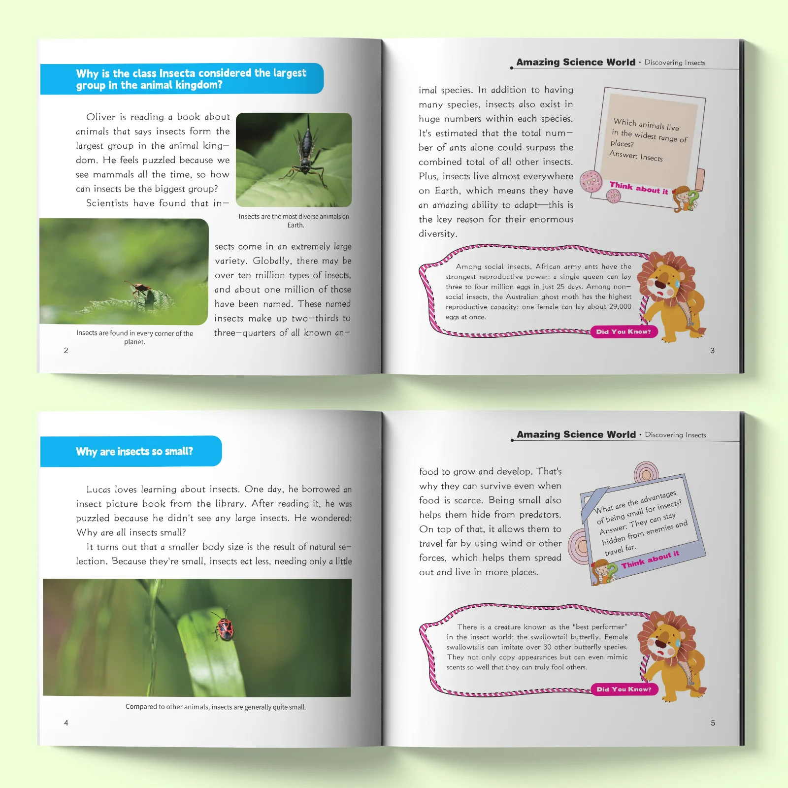Amazing Science World: Discovering Insects, Kids Science Book with Real Photos of Dragonflies, Ladybugs, Butterflies and More