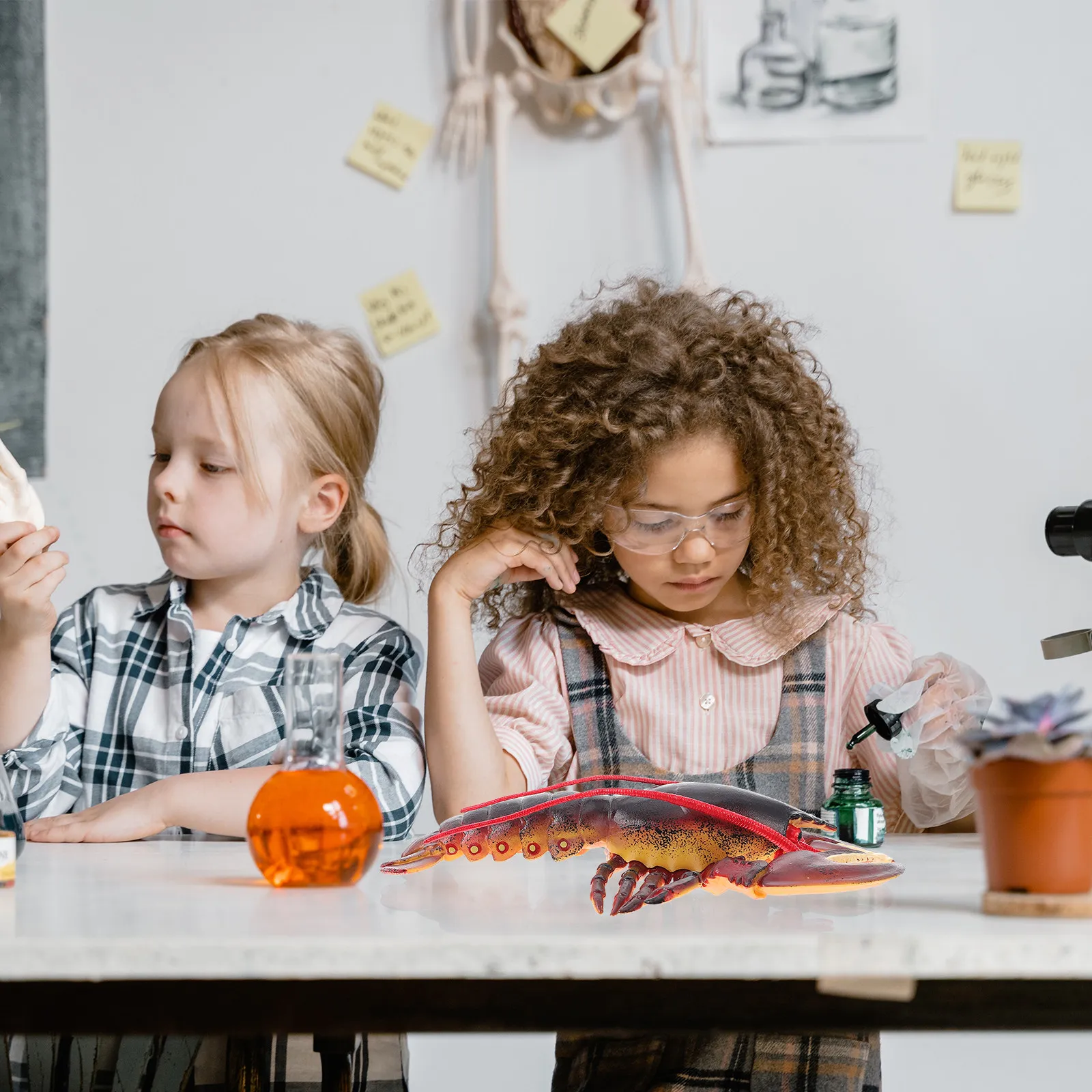 

Реалистичная модель морского омара для детей: развивающая игрушка для когнитивного развития, натуральный визуальный опыт, образовательная игрушка в виде морского животного