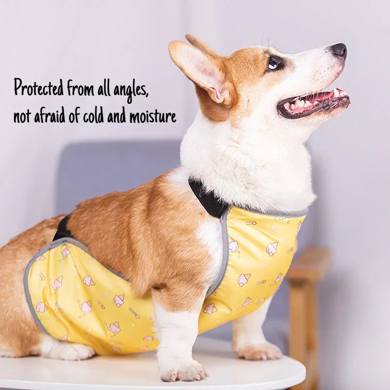 

Corgi Special Apron Waterproof Anti-dirty Dog Summer Stomach Protection Anti-cold Small Dog Clothes Corgi Clothe Pet Clothes