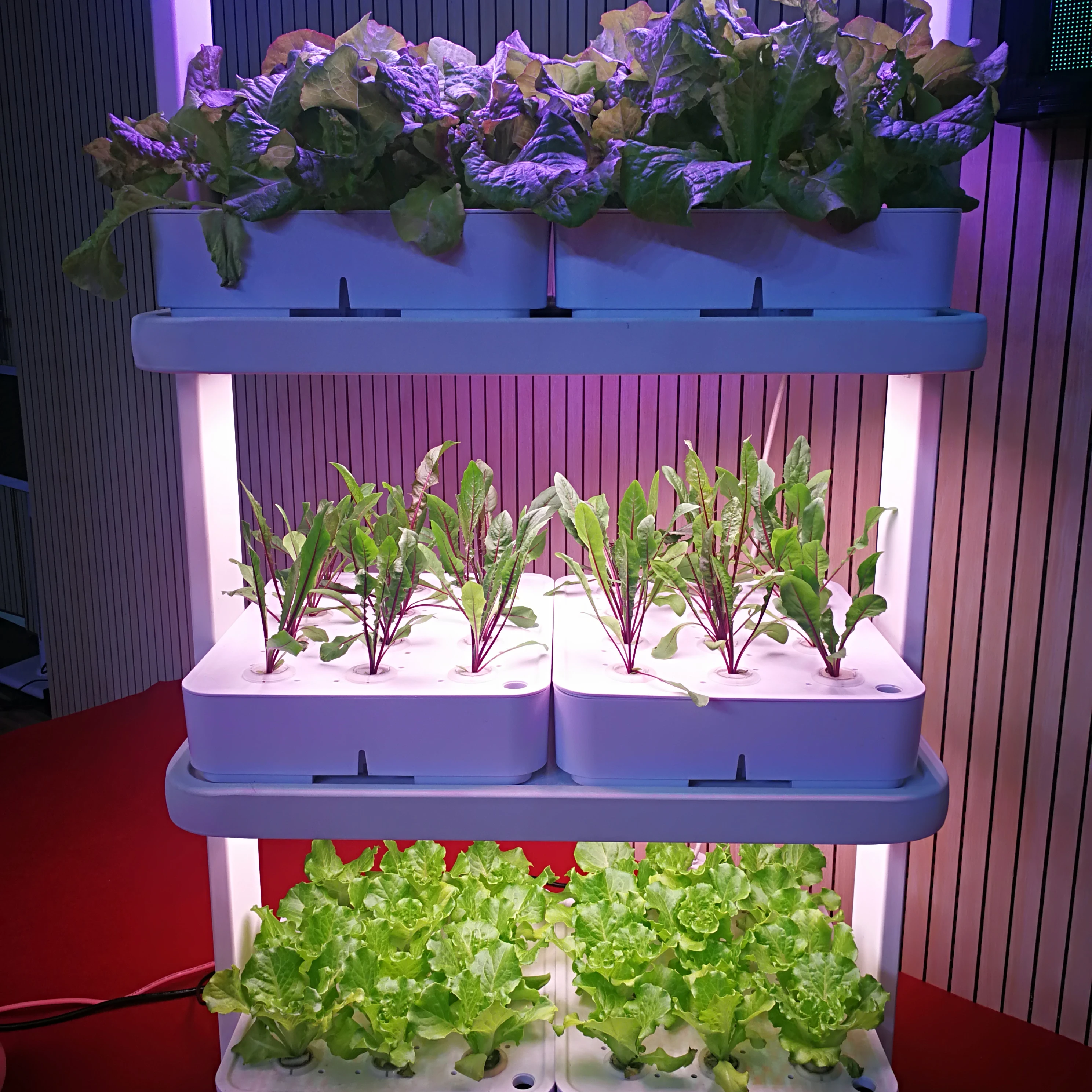 

2025 Smart Hydroponic Plant Indoor Growing System Led Hydroponics Grow Kit Indoor Smart Garden Hidroponic System