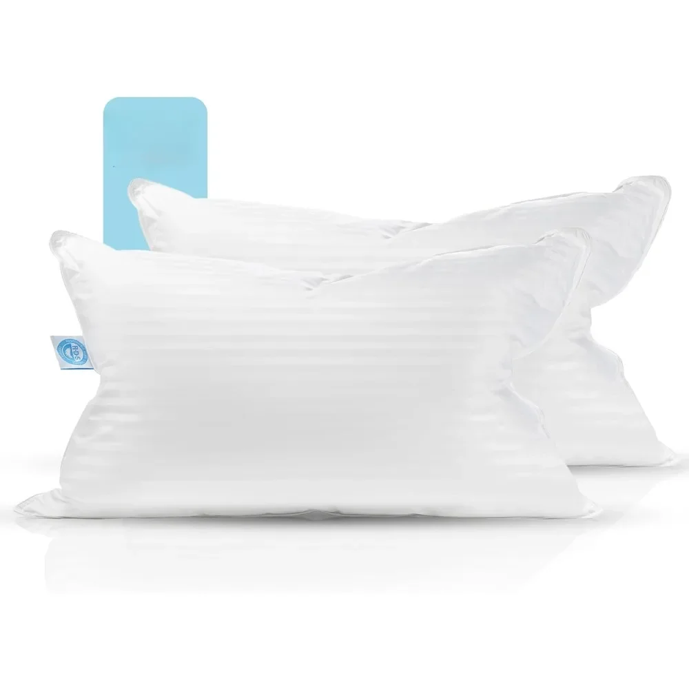 Dream 50/50 Goose Feather Down Extra Large Pillow 20x36 Inches Medium Support, 100% Cotton Shell  Pillows for Bedroom