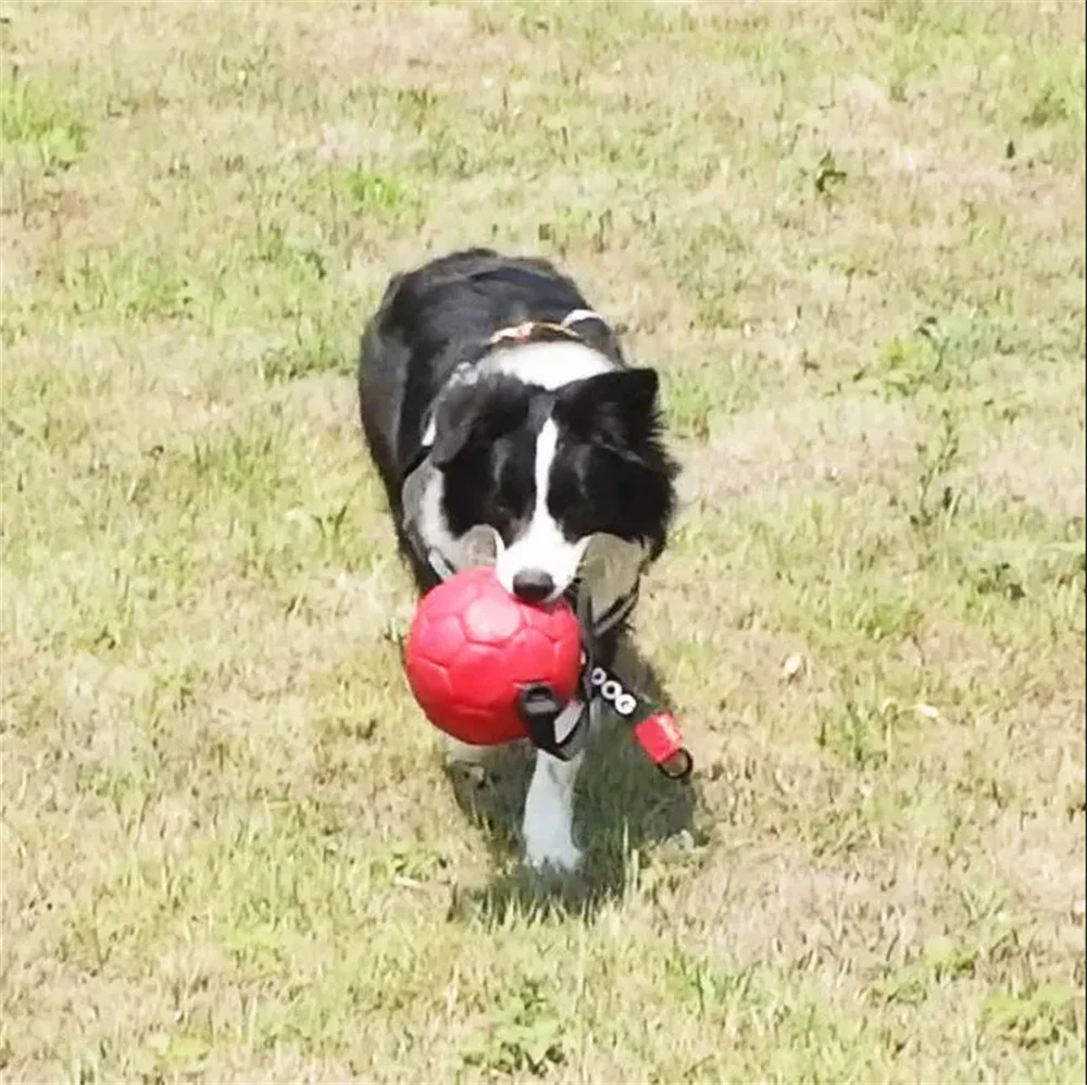 Imagem -05 - Pet Dog Toy Ball Couro à Prova de Mordida Cão Grande Interativo Jogando Treinamento Jogo Bola Automática Inflável Futebol Pet Supplies