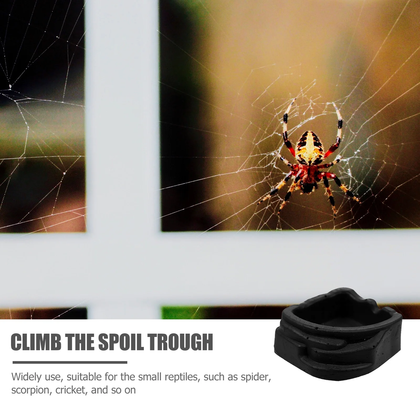 

8Pcs Reptile Water Basin Small Crawler Sinks Spiders Basins Scorpion Feeder Accessories Water Dish Small Crawler Sinks