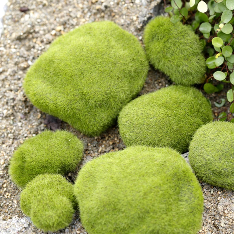 1PCS Ant Farm Decoration Artificial Mini Moss Stones Ant Nest Ant House Accessories for Anthill Workshop Micro-Landscape Decor