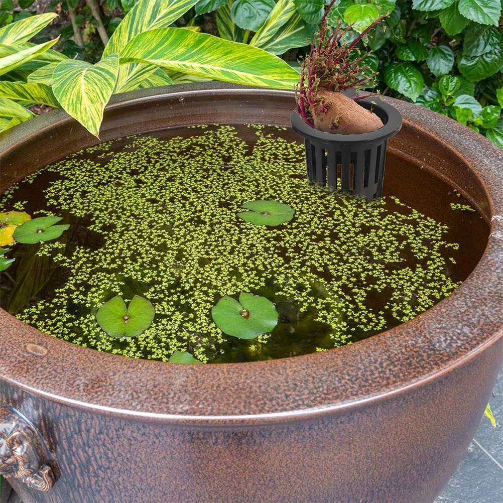 Cesta hidropónica para acuario, contenedor de cultivo montado en la pared para aireación de raíces saludable, Mini cesta colgante, cultivo hidropónico, 6 uds.