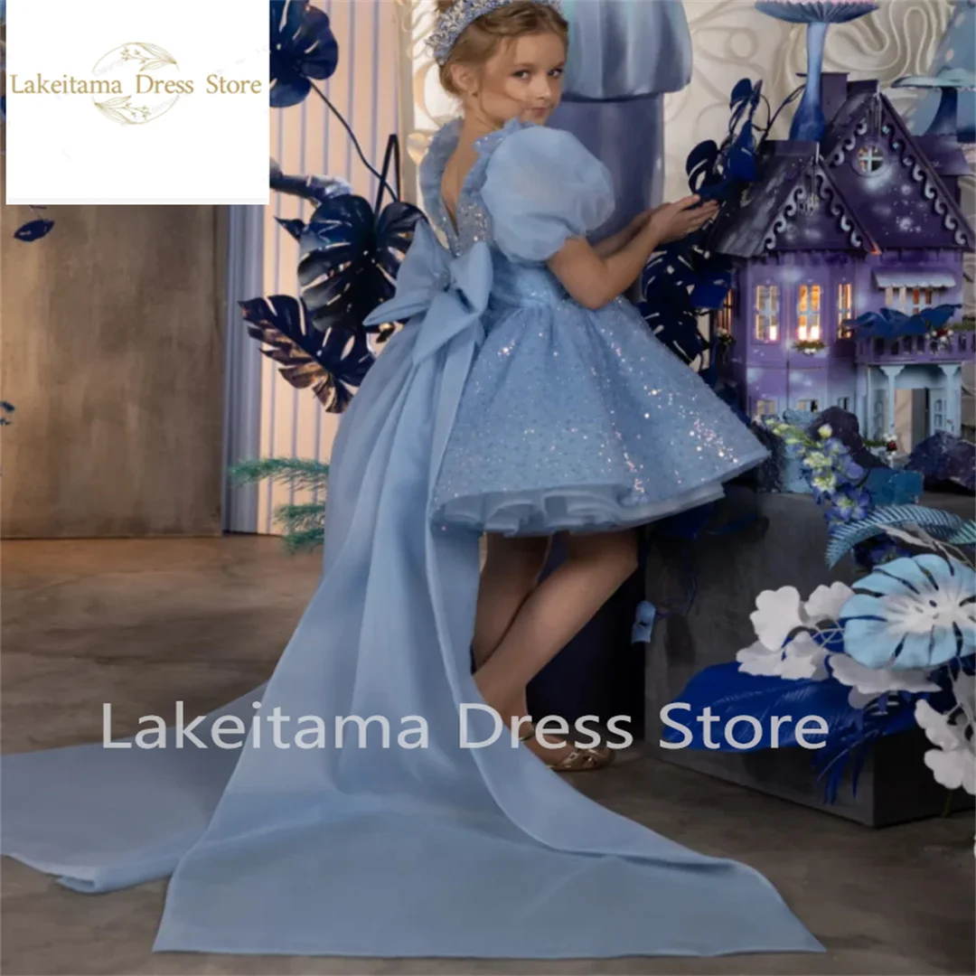 

Flower Girl Dress For Wedding Puffy Sky Blue Tulle Sequined Gown Pageant Kids Birthday Dress with Detachable Tail