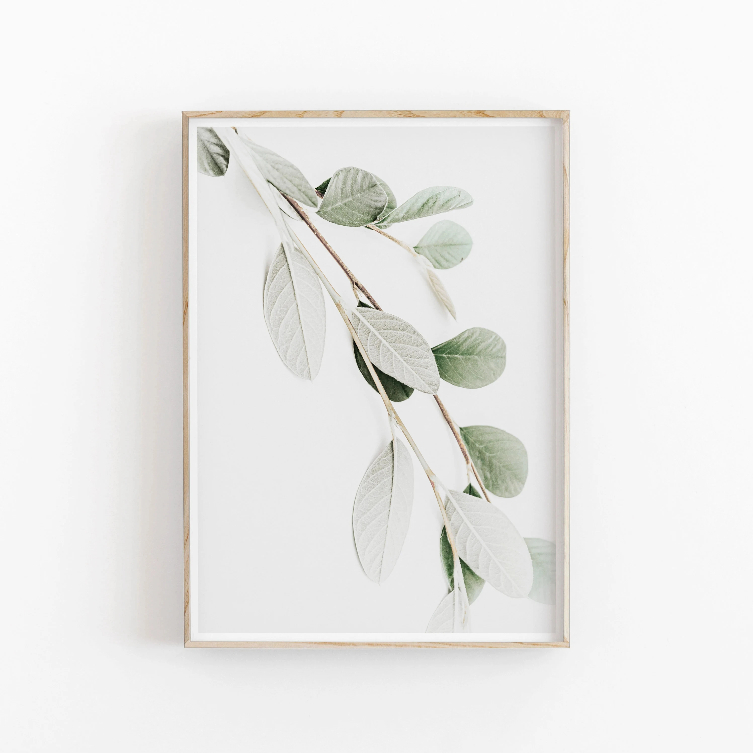 Affiche botanique nordique, peinture sur toile, feuilles de palmier d\'eucalyptus, plante d\'art, décor mural imprimable, esthétique minimaliste