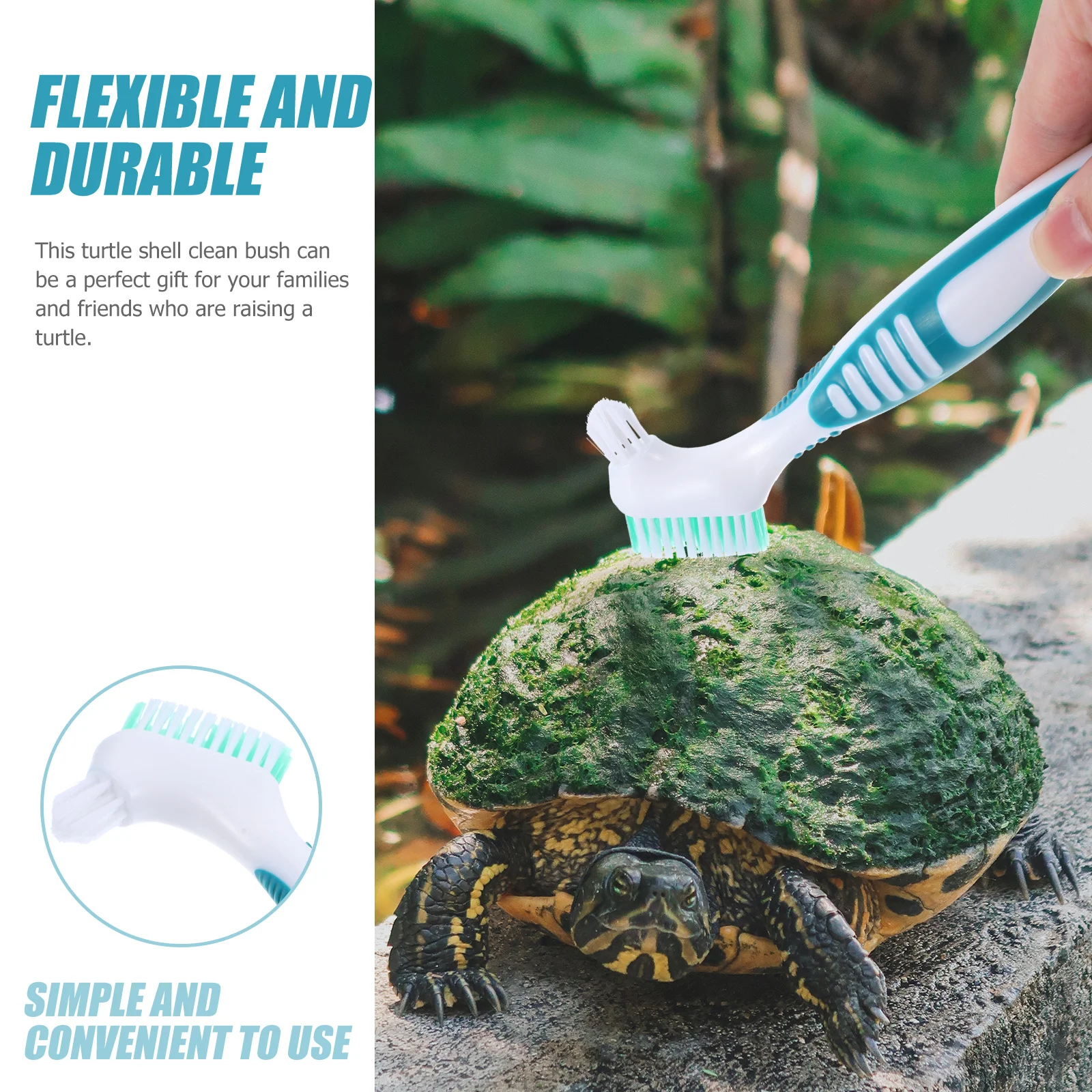 

Multi-Functional Turtle Shell Cleaning Brush Premium Material Double-Side Use for Turtle Shell Conch Denture Household Mini