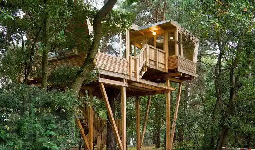 Tree  and wooden house