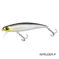 INTRUDER 71S-P