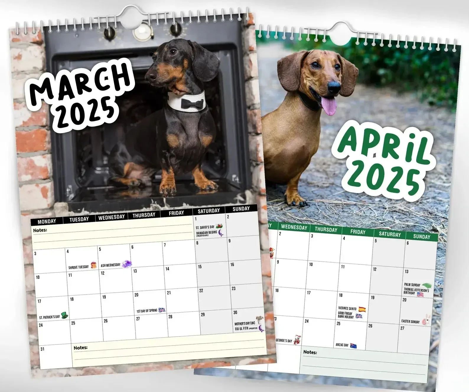 Cheeky Dachshunds 2025 Cheeky Dachshund Calendar 12 Months Cartoon Dachshund Wall Decoration Calendar