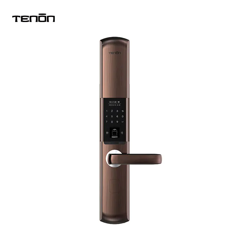 US Electric Finger Print Smart Room Gate Door Lock Smart Rfid Card Keyless Entry Smart Lock per applicazioni domestiche