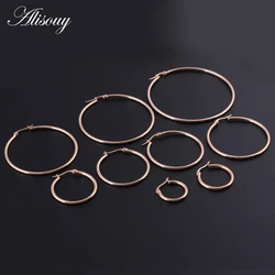 Alisouy 1 Pair Rose Gold Color Women Earring Jewelry 316L Stainless Steel Hoop Earring for girl women Jewelry Hoop Earrings