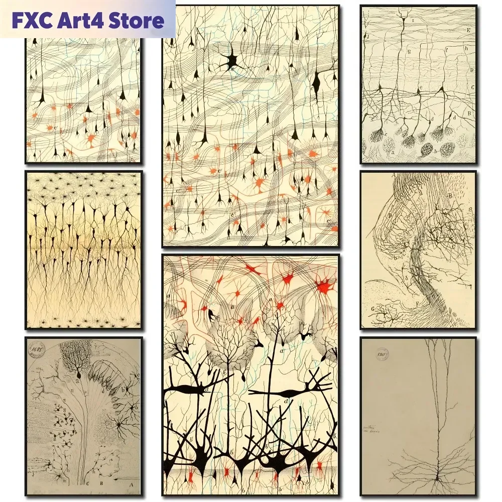 Frameless Santiago Ramon Y Cajal Neuron Drawing Poster Stickers Living Room Bedroom Entrance Cafe Wall Art Decoration Painting