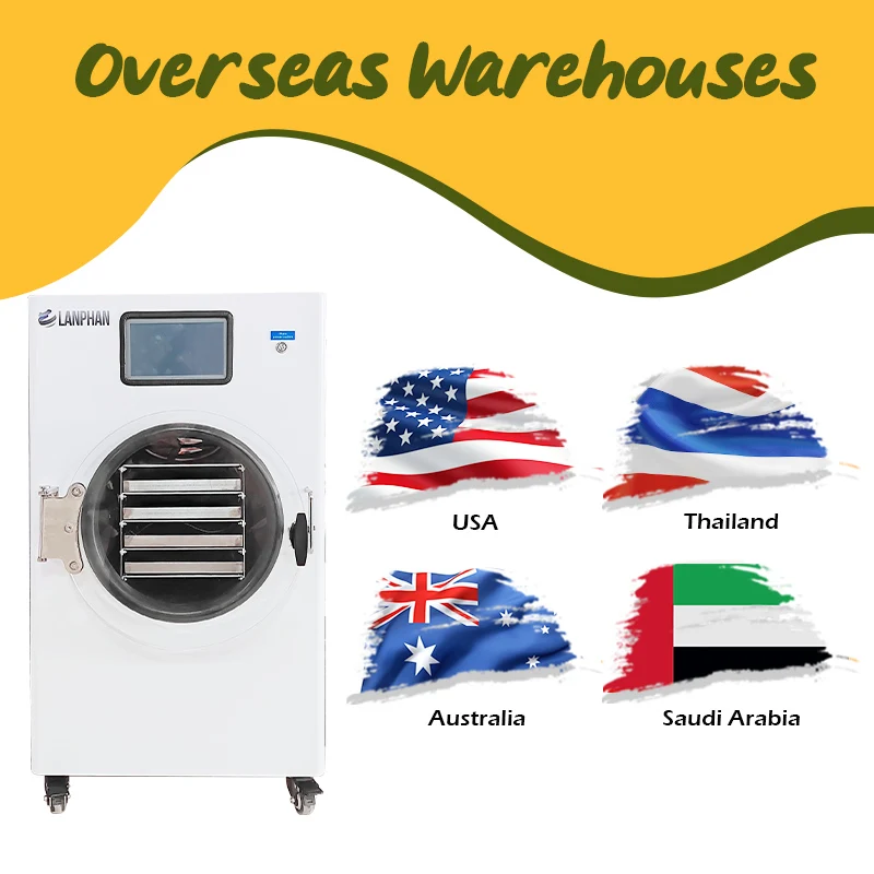 6kg 8kg/バッチ 中型ミニ液体ミルクコーヒー果物野菜食品グレード凍結乾燥機 オイルフリーポンプ付き