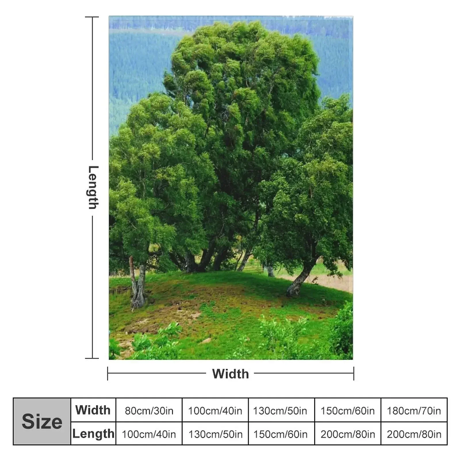 Birch Trees Friends Forever Throw Blanket couch cozy soft plush fuzzy picnic outdoor blanket