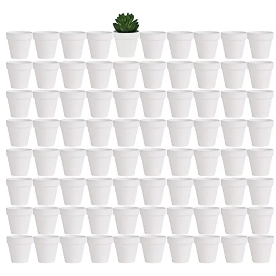 

2 inch Small Pots with Drainage Holes, Mini Clay Ceramic Pottery Planter, Cactus Flower Nursery Terra Cotta Pots, for Indoor/Ou