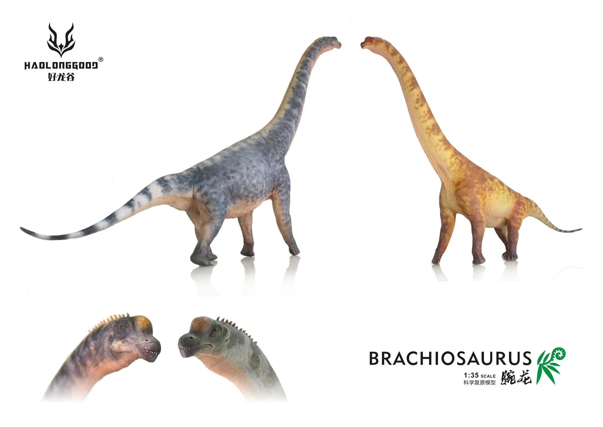 HAOLONGGOOD 1:35 Scale Brachiosaurus Model Brachiosauridae Dinosaur Animal Scene Decoration Birthday Gift Collection Statue