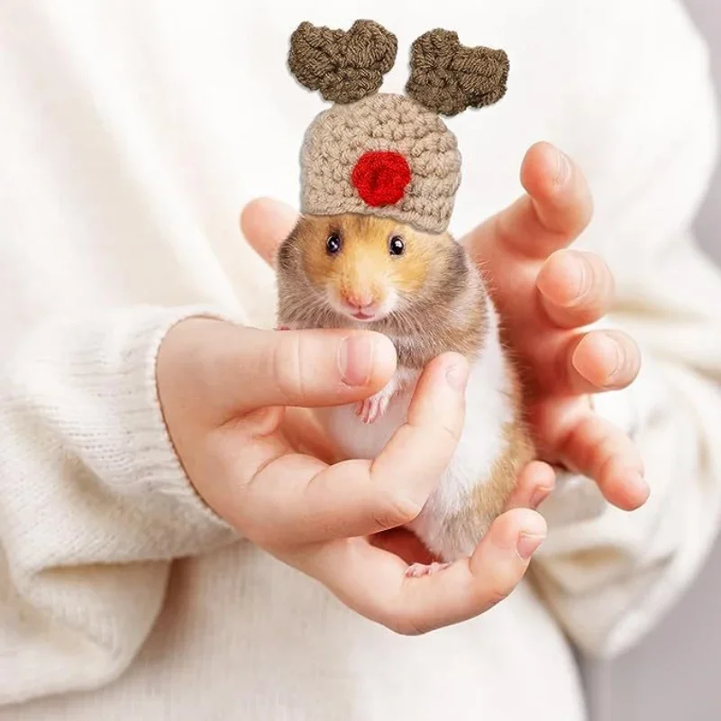 Mini Hamster Hat for Small Animals, Lovely Hand Knitted Hats for Lizard, Guinea Pig, Reptile, Christmas Party Clothes, Costume P