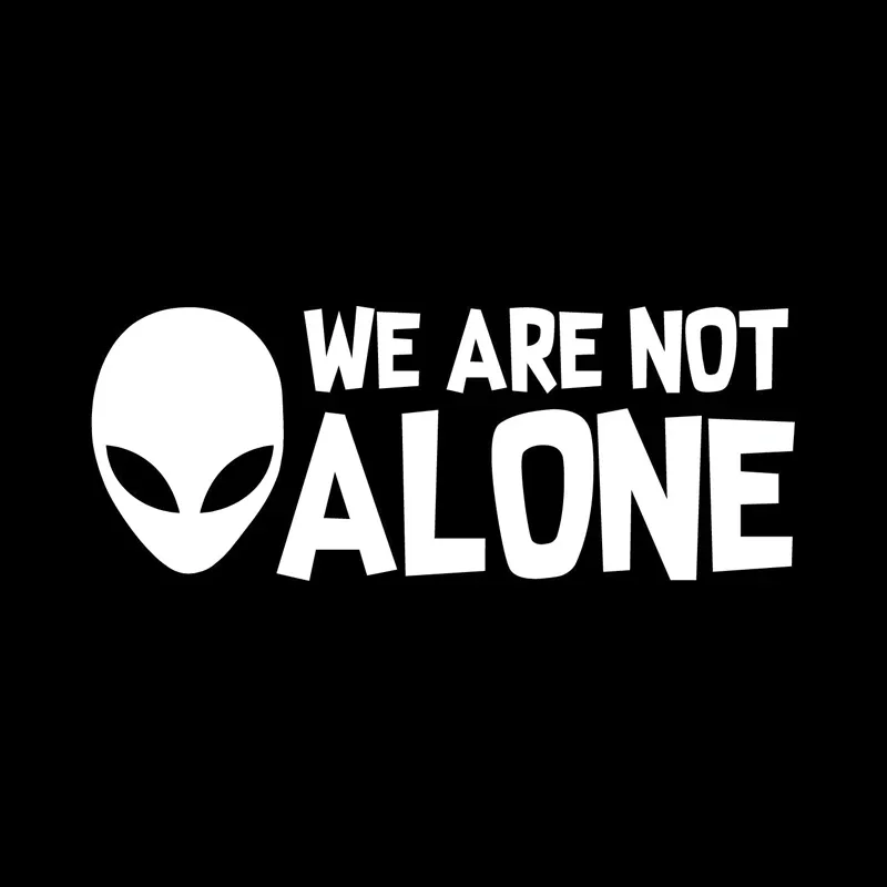 ALIEN WE ARE NOT ALONE Vinyl Decal UFO Car Sticker Black/Silver 15.2CM*6CM