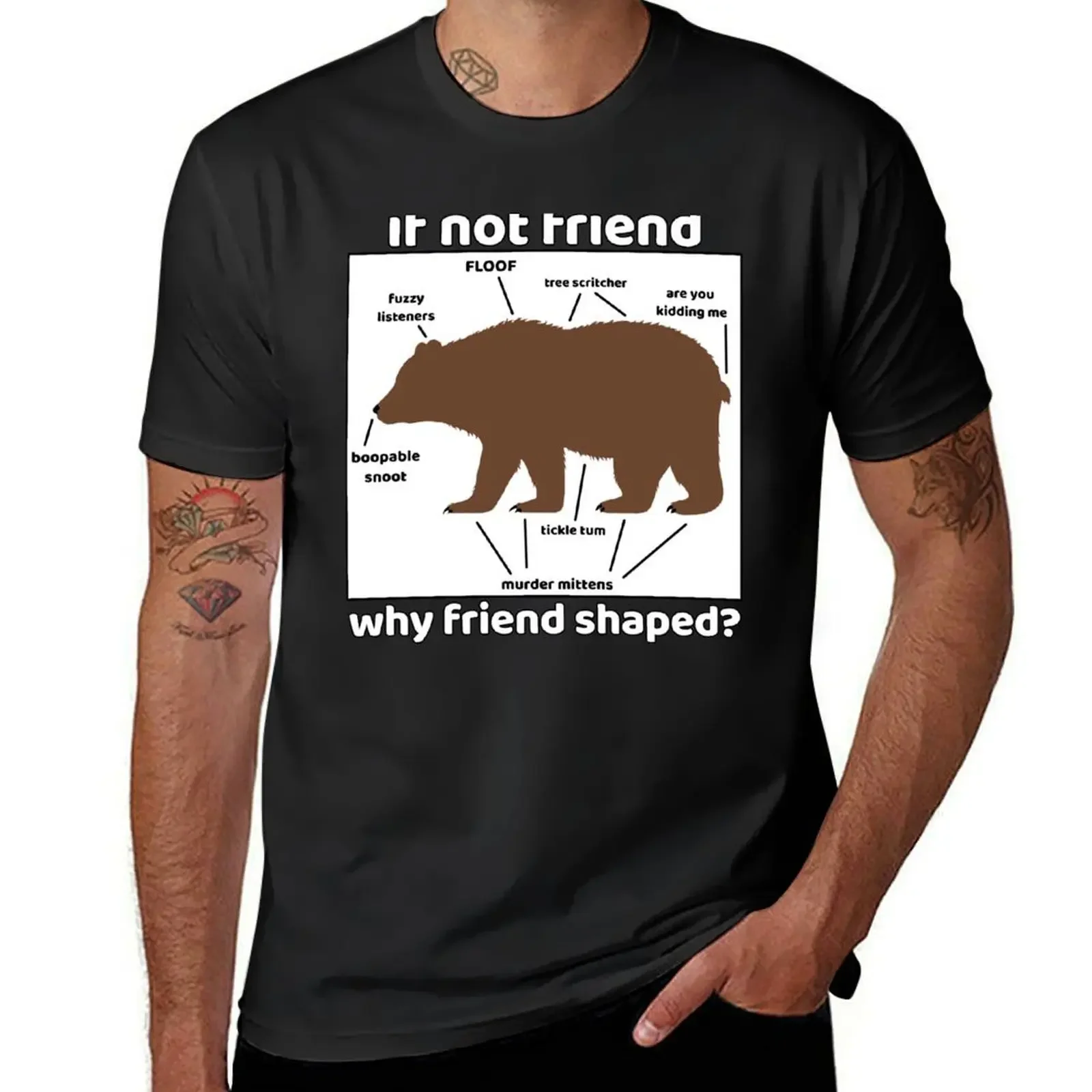 ¿Si no es un amigo, por qué forma de amigo? Camiseta con estampado de anatomía del oso en una camiseta cuadrada, camisetas de blusa, camiseta personalizada para hombre
