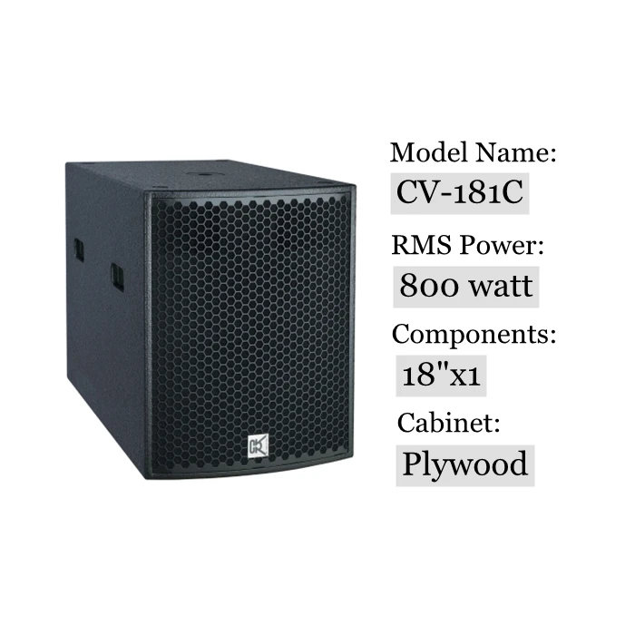 W-210C Dual 10 Inch 800W RMS 3200W Peak Waterproof Birch Plywood Line Array Stage Speaker