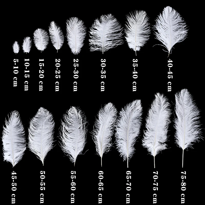 10PCS/lot Fluffy Ostrich Feathers White Ostrich Feather 15-55CM Wedding Table Centerpieces Party Carnaval Plumes Decoration