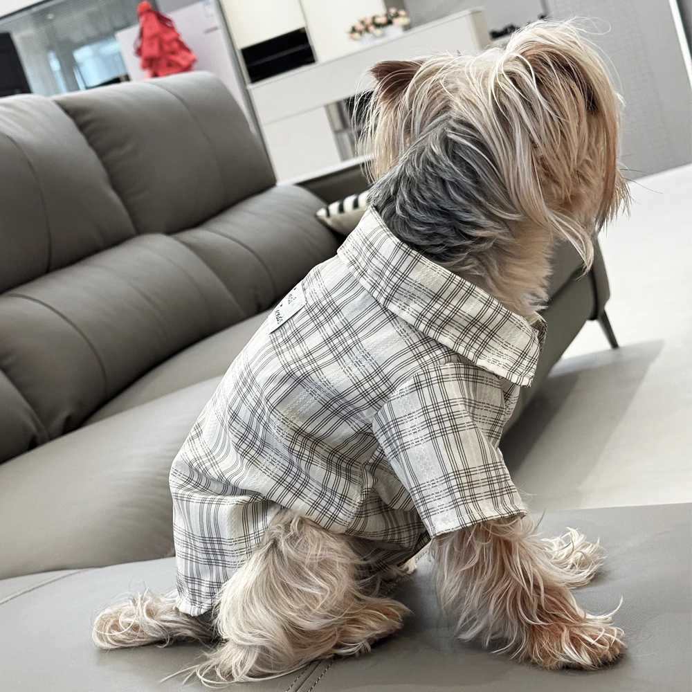 Thumbnail 3 - #3 Dog Apparel Discount Picks