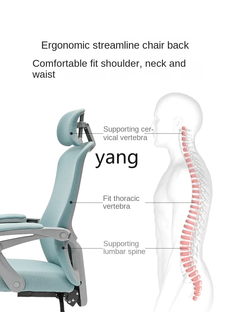 LTT   Ergonomic E-Sports Seat Reclining Arch Chair Comfortable Learning Long Sitting