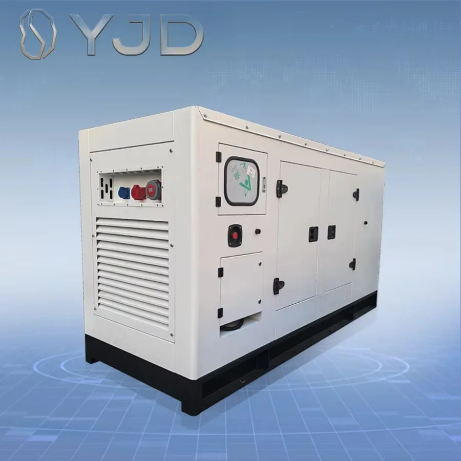 DYJDLeiTeng Brand 150kW Silent Encapsulated Diesel Generator ATS 1800RPM Automatic Voltage Regulation Overload Protection