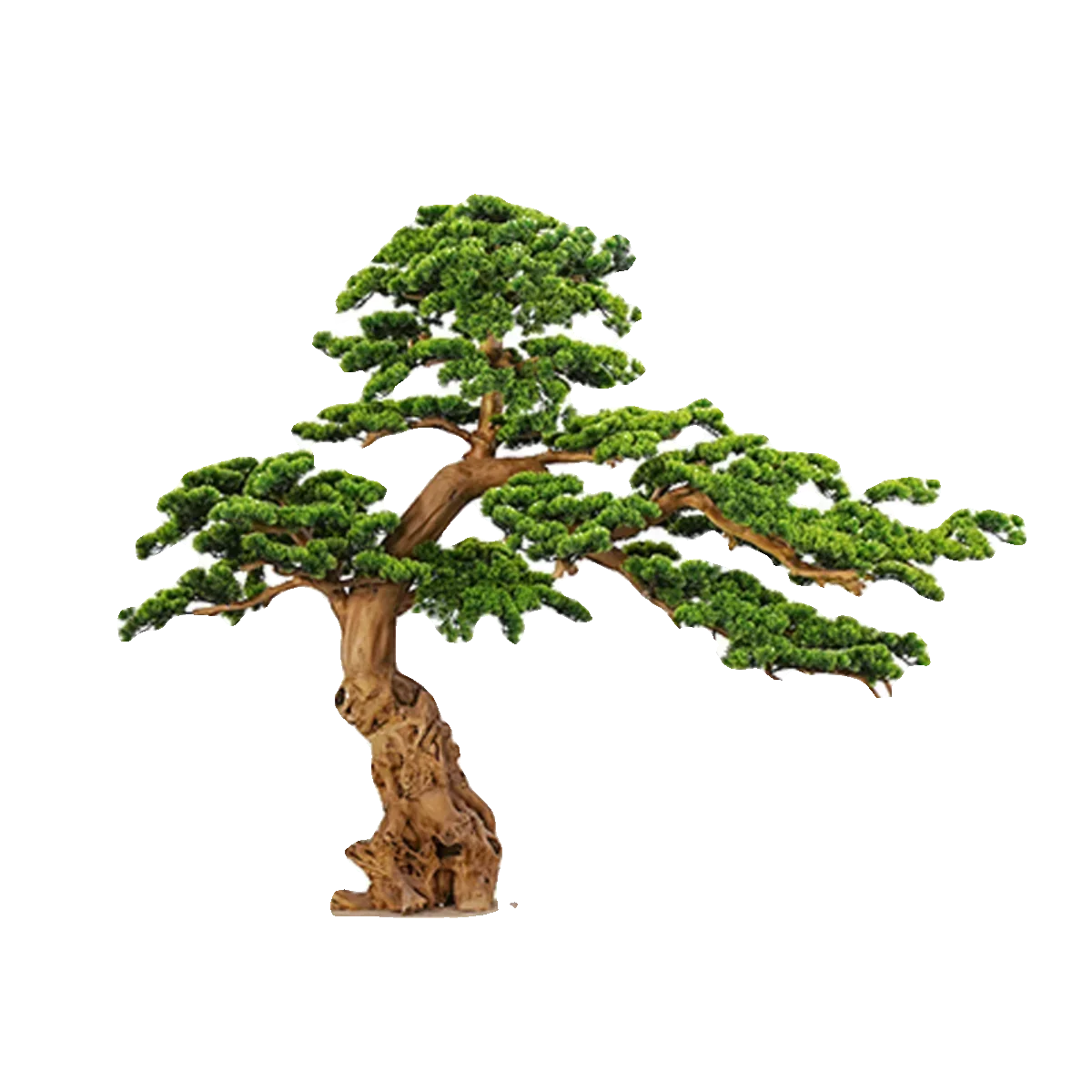 

Welcome Pine Bonsai Large Pine Fake Trees Decoration Entrance Decoration Green Plant Chinese Floor Podocarpus Macrophyllus