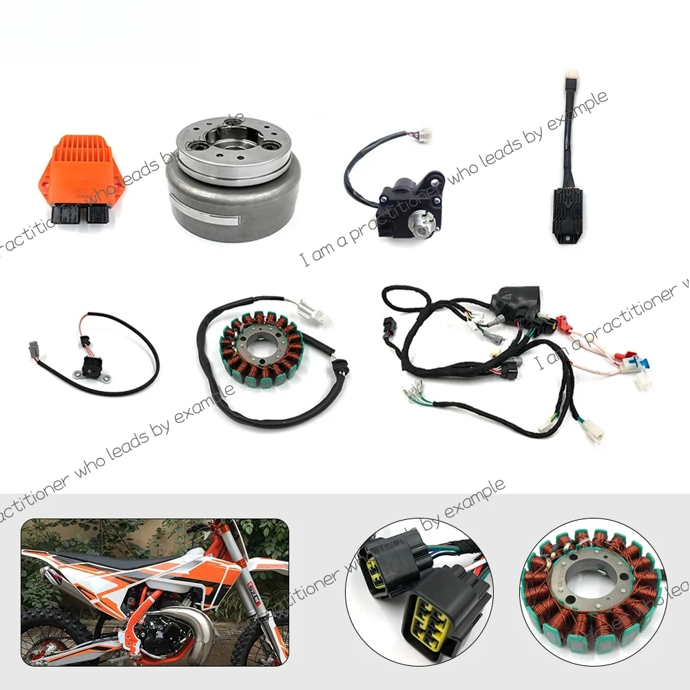 Motorcycle Coil Harness Ignition System Magnet Servo Motor CDI Igniter Wiring Complete Electrical Kit For DT230 MT250 HJ250H GR