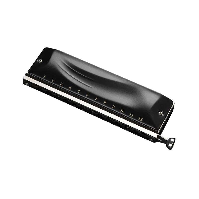 JDR GM0648 Chromatic Harmonica C Key 12-Hole 48 Tones Chromatic Mouth Organ Harp Key of C Professional Armonica Music Instrument