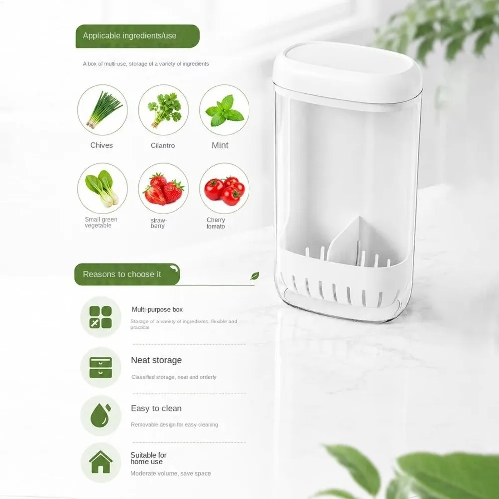 Clear Cilantro Hydroponic Box Preservation Upright Vegetable Container Space Saving With Drainage Produce Saver Container